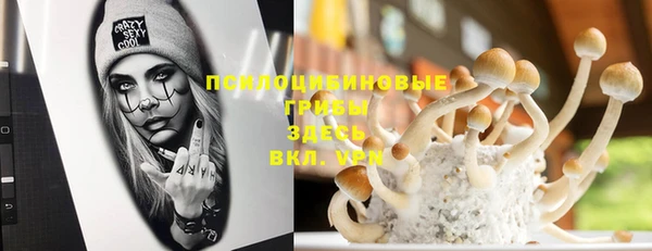 метадон Белокуриха