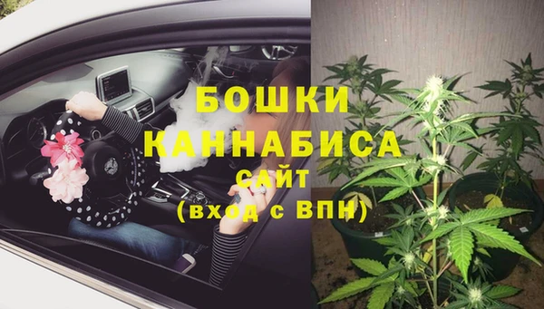 метадон Белокуриха