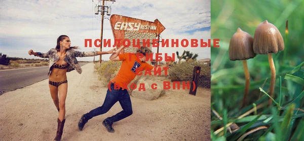 ALPHA PVP Беломорск