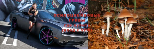 метадон Белокуриха