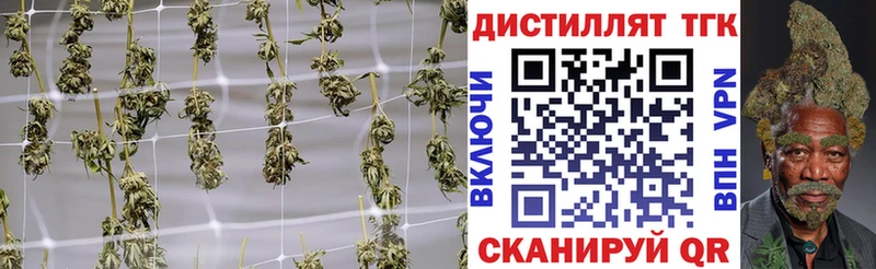 blacksprut как зайти  Коряжма  Дистиллят ТГК концентрат 
