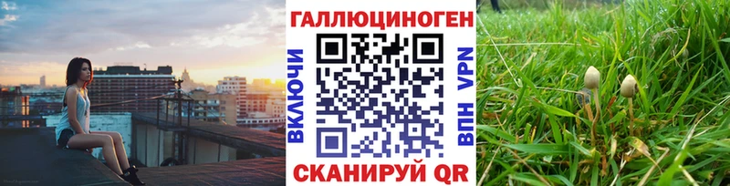 где купить наркотик  Коряжма  Галлюциногенные грибы Psilocybine cubensis 